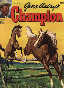 Adventures of Champion