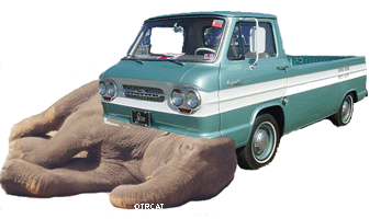 On Safari